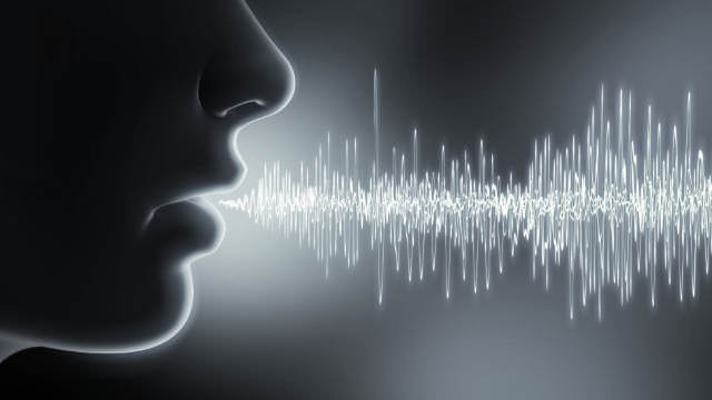 Sprachanalyse aus der deutschen Cloud: Auf einen Blick mit einem Klick